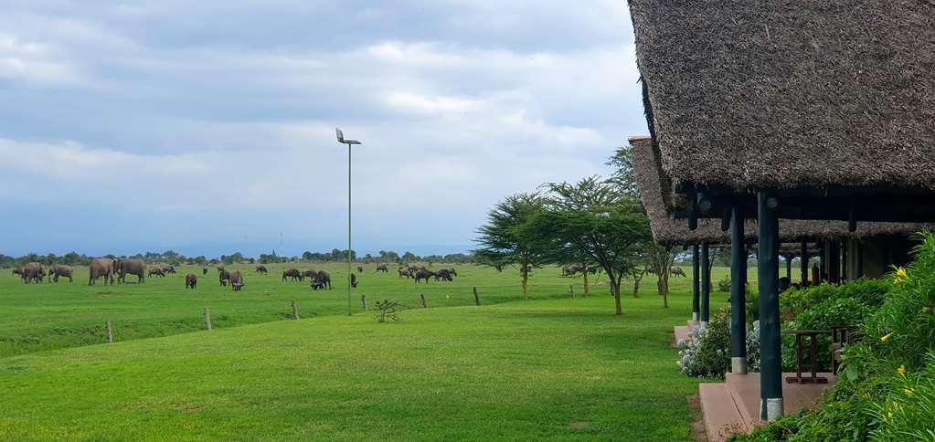 Sweetwaters Serena Camp Nanyuki Kemudahan gambar