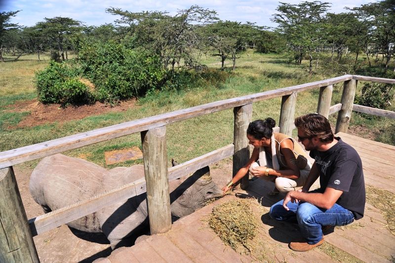 Sweetwaters Serena Camp Nanyuki Luaran gambar