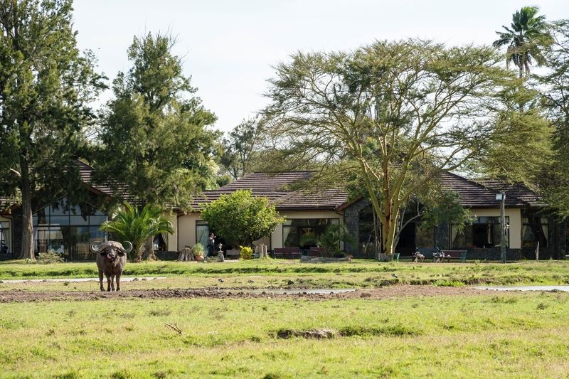 Sweetwaters Serena Camp Nanyuki Luaran gambar