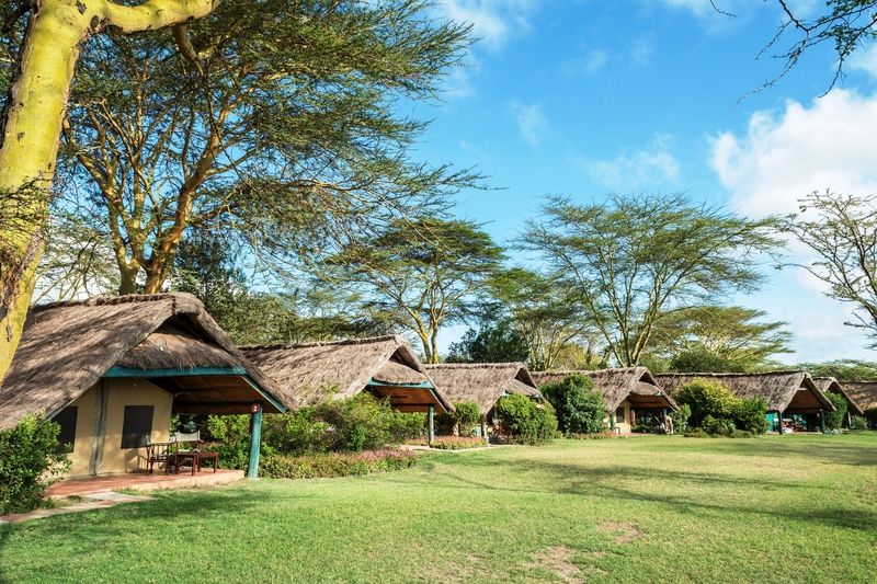 Sweetwaters Serena Camp Nanyuki Luaran gambar