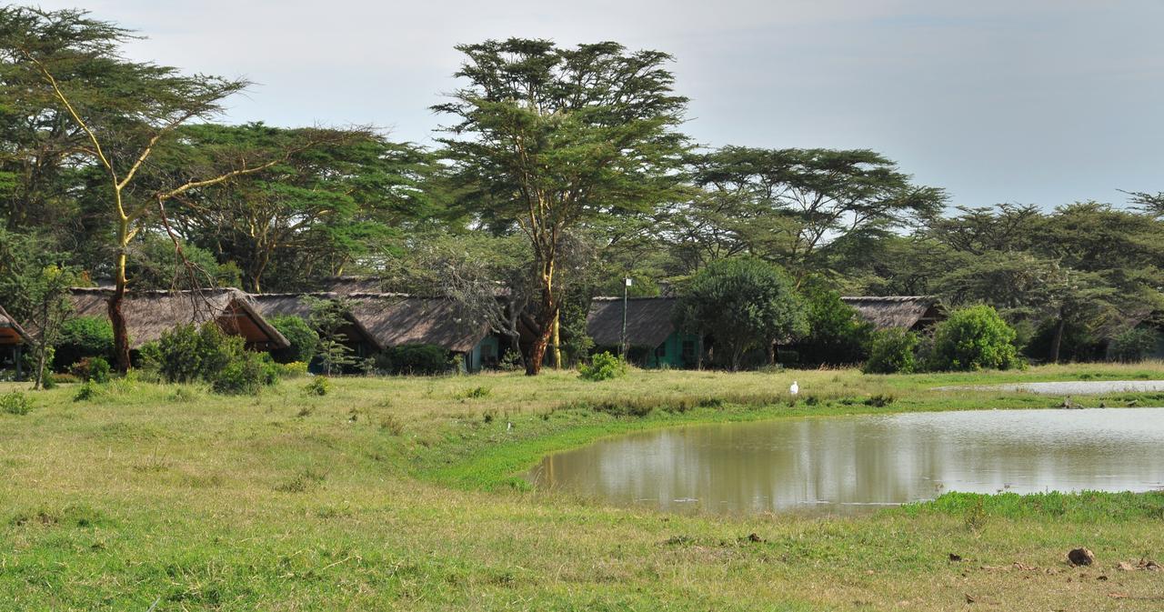 Sweetwaters Serena Camp Nanyuki Luaran gambar