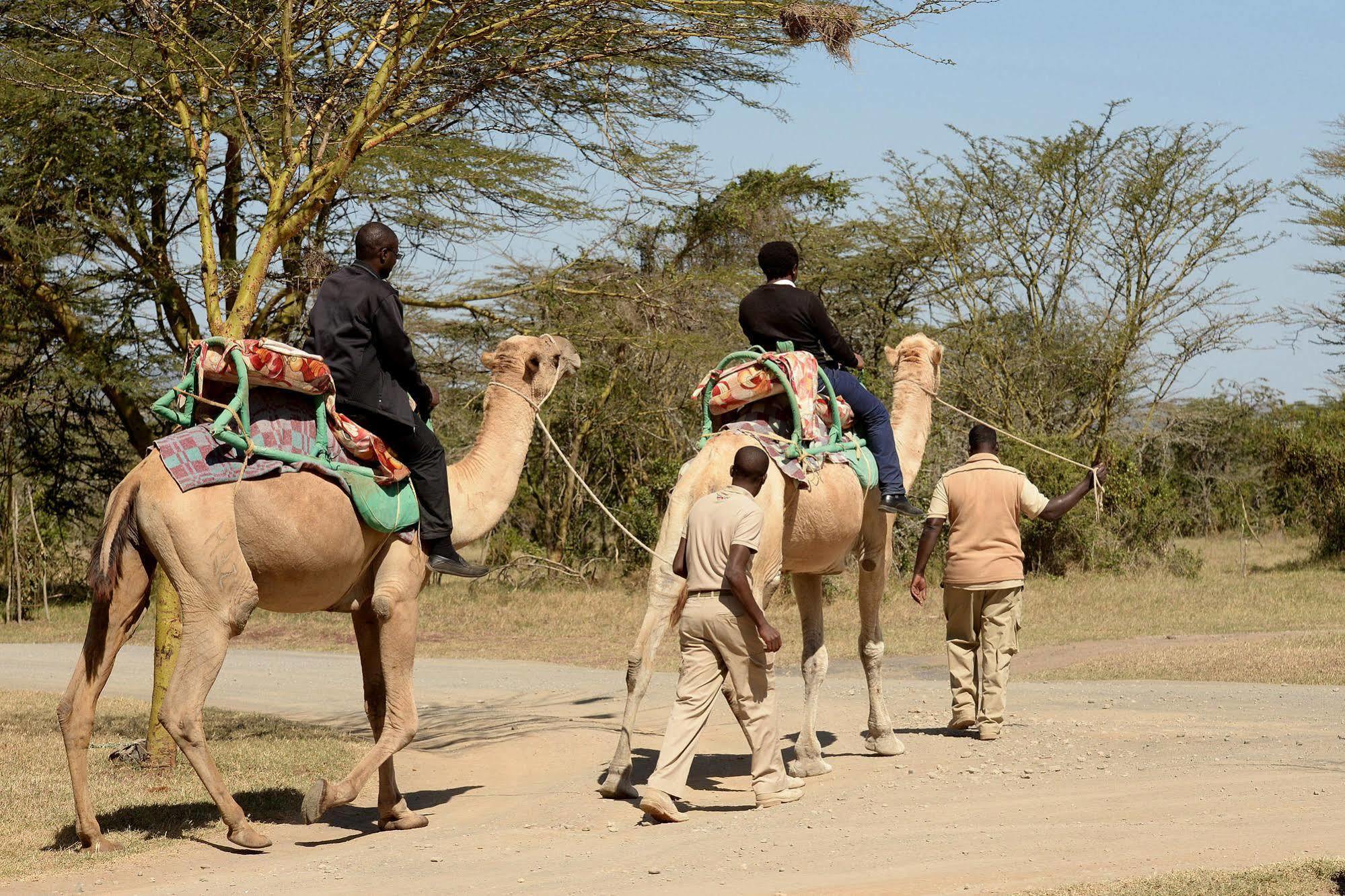 Sweetwaters Serena Camp Nanyuki Luaran gambar