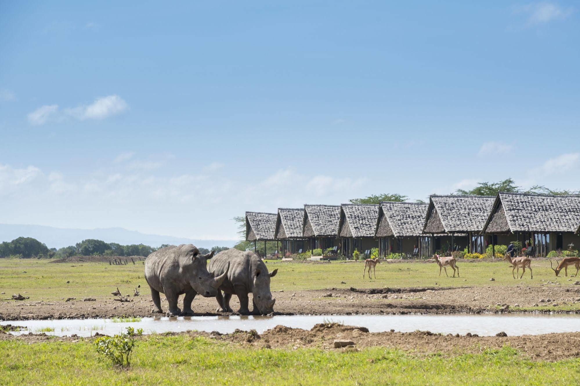 Sweetwaters Serena Camp Nanyuki Luaran gambar