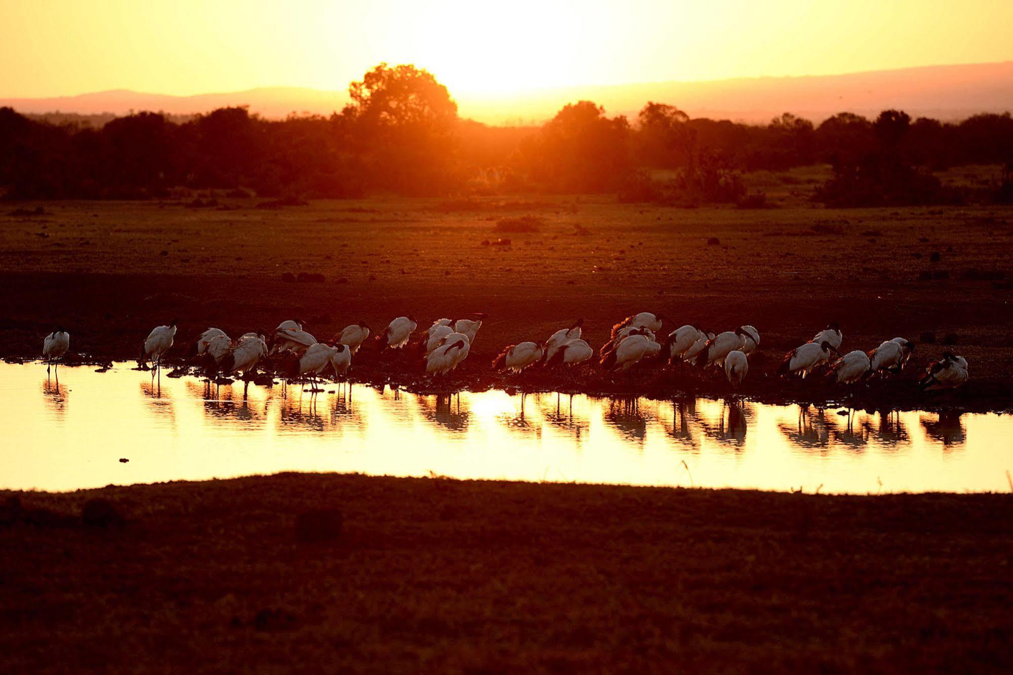 Sweetwaters Serena Camp Nanyuki Luaran gambar